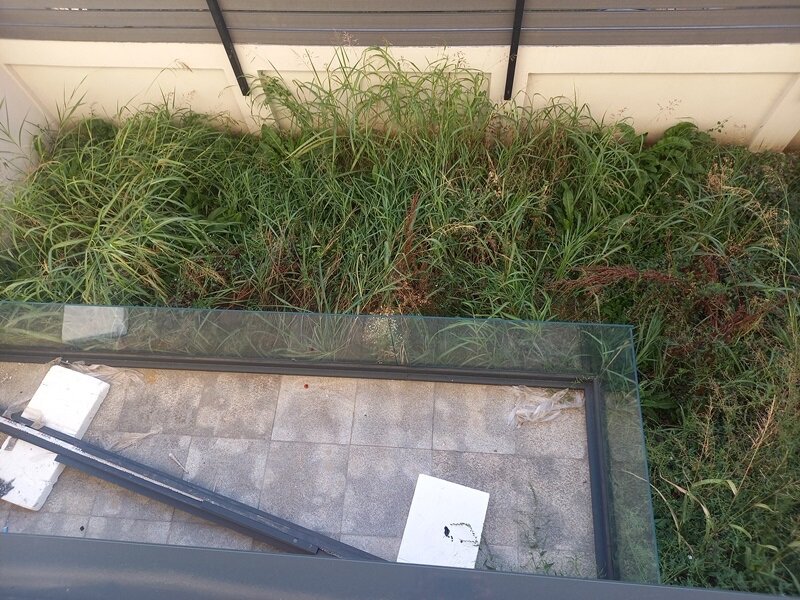 Popesti-Leordeni, Ilfov